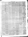 Bray and South Dublin Herald Saturday 17 April 1886 Page 3