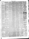 Bray and South Dublin Herald Saturday 01 May 1886 Page 3