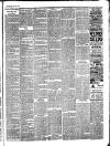 Bray and South Dublin Herald Saturday 11 February 1888 Page 3