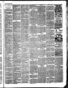 Bray and South Dublin Herald Saturday 25 February 1888 Page 3