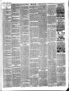 Bray and South Dublin Herald Saturday 03 March 1888 Page 3