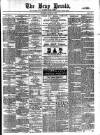 Bray and South Dublin Herald Saturday 22 June 1889 Page 1