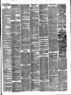 Bray and South Dublin Herald Saturday 22 June 1889 Page 3