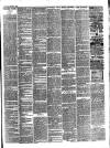 Bray and South Dublin Herald Saturday 03 August 1889 Page 3