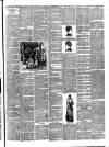 Bray and South Dublin Herald Saturday 17 January 1891 Page 3