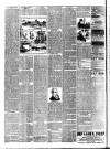 Bray and South Dublin Herald Saturday 24 January 1891 Page 2