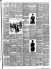 Bray and South Dublin Herald Saturday 14 February 1891 Page 3