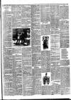 Bray and South Dublin Herald Saturday 21 March 1891 Page 3