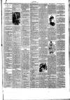 Bray and South Dublin Herald Saturday 14 January 1893 Page 3