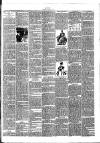 Bray and South Dublin Herald Saturday 11 February 1893 Page 3