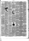 Bray and South Dublin Herald Saturday 25 March 1893 Page 3