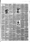 Bray and South Dublin Herald Saturday 06 May 1893 Page 3