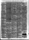 Bray and South Dublin Herald Saturday 23 March 1895 Page 3