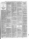 Bray and South Dublin Herald Saturday 08 February 1896 Page 7