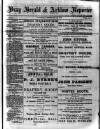 Bray and South Dublin Herald Saturday 10 February 1900 Page 1