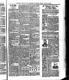 Bray and South Dublin Herald Saturday 20 October 1900 Page 7