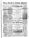 Bray and South Dublin Herald Saturday 29 December 1900 Page 1