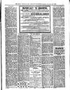 Bray and South Dublin Herald Saturday 29 December 1900 Page 7