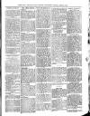 Bray and South Dublin Herald Saturday 02 March 1901 Page 3