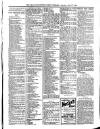 Bray and South Dublin Herald Saturday 27 July 1901 Page 9