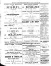 Bray and South Dublin Herald Saturday 10 August 1901 Page 10