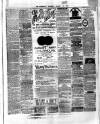 County Tipperary Independent and Tipperary Free Press Saturday 16 December 1882 Page 3