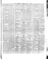 County Tipperary Independent and Tipperary Free Press Saturday 06 January 1883 Page 5