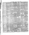 County Tipperary Independent and Tipperary Free Press Saturday 13 January 1883 Page 8