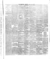 County Tipperary Independent and Tipperary Free Press Saturday 20 January 1883 Page 4