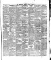 County Tipperary Independent and Tipperary Free Press Saturday 10 February 1883 Page 5