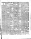 County Tipperary Independent and Tipperary Free Press Saturday 17 February 1883 Page 7