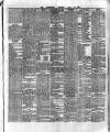 County Tipperary Independent and Tipperary Free Press Saturday 10 March 1883 Page 5