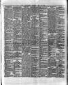 County Tipperary Independent and Tipperary Free Press Saturday 19 May 1883 Page 5