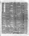 County Tipperary Independent and Tipperary Free Press Saturday 25 August 1883 Page 7