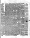 County Tipperary Independent and Tipperary Free Press Saturday 27 October 1883 Page 7