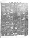 County Tipperary Independent and Tipperary Free Press Saturday 12 January 1884 Page 5