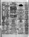 County Tipperary Independent and Tipperary Free Press Saturday 23 February 1884 Page 2