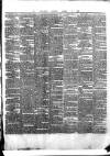 County Tipperary Independent and Tipperary Free Press Saturday 03 January 1885 Page 5