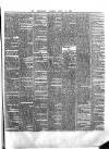 County Tipperary Independent and Tipperary Free Press Saturday 21 March 1885 Page 7