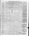 Dublin Weekly News Saturday 17 December 1887 Page 5