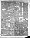 Dublin Weekly News Saturday 31 March 1888 Page 5