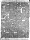 Lurgan Times Saturday 20 November 1880 Page 3