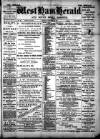 West Ham and South Essex Mail Saturday 03 November 1894 Page 1
