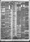 West Ham and South Essex Mail Saturday 03 November 1894 Page 3