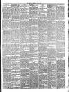 West Ham and South Essex Mail Saturday 19 January 1895 Page 3