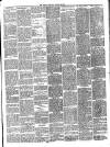 West Ham and South Essex Mail Saturday 04 January 1896 Page 3