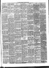 West Ham and South Essex Mail Saturday 25 January 1896 Page 3