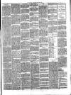 West Ham and South Essex Mail Saturday 29 May 1897 Page 3
