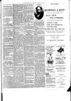 West Ham and South Essex Mail Saturday 24 March 1900 Page 3