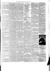 West Ham and South Essex Mail Saturday 31 March 1900 Page 7